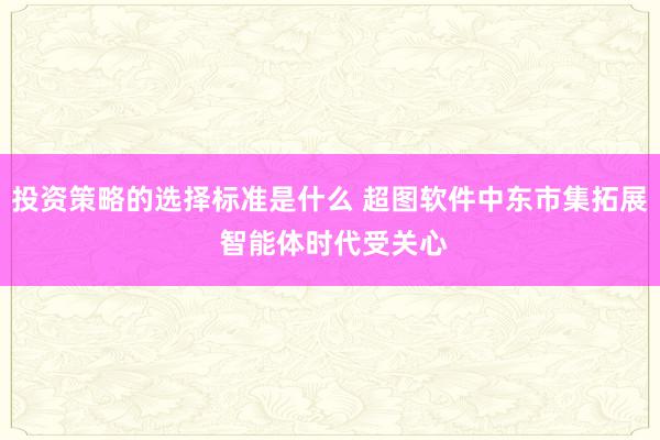 投资策略的选择标准是什么 超图软件中东市集拓展 智能体时代受关心